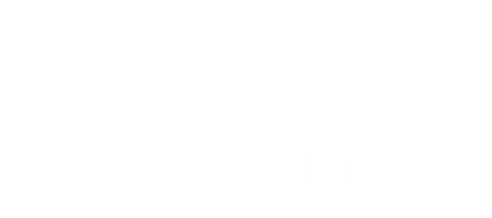 Modus Leadership Programs